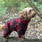 RED SKULL FLEECE