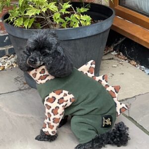 DINOSAUR FLEECE FOR DOGS
